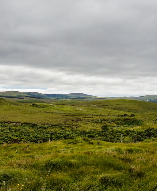 Master the Irish Mule: Simple Ingredients, Balanced Flavor, & Quality Whiskey